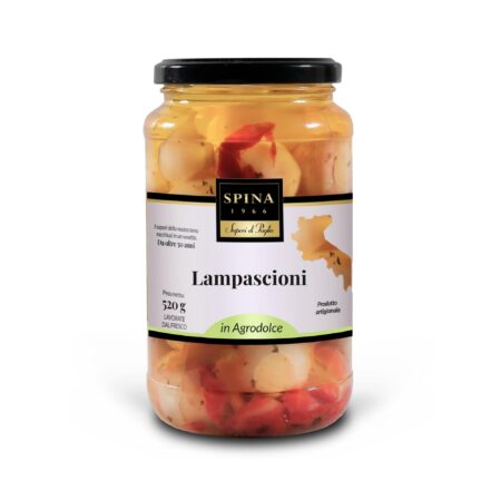 Lampascioni  520 g           in Agrodolce